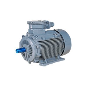 IE2 Flame Proof Motors