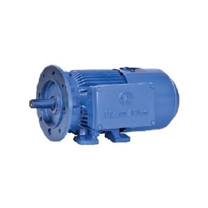 Crane & Hoist Duty Motors