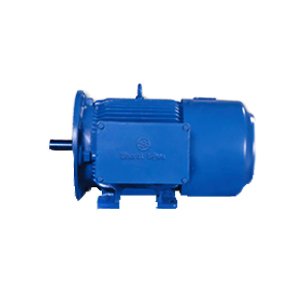 Cane Unloader Motors